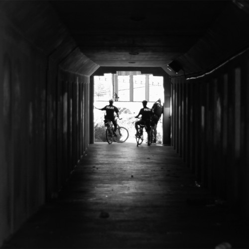 6281409343_44d1d7eb14.jpg