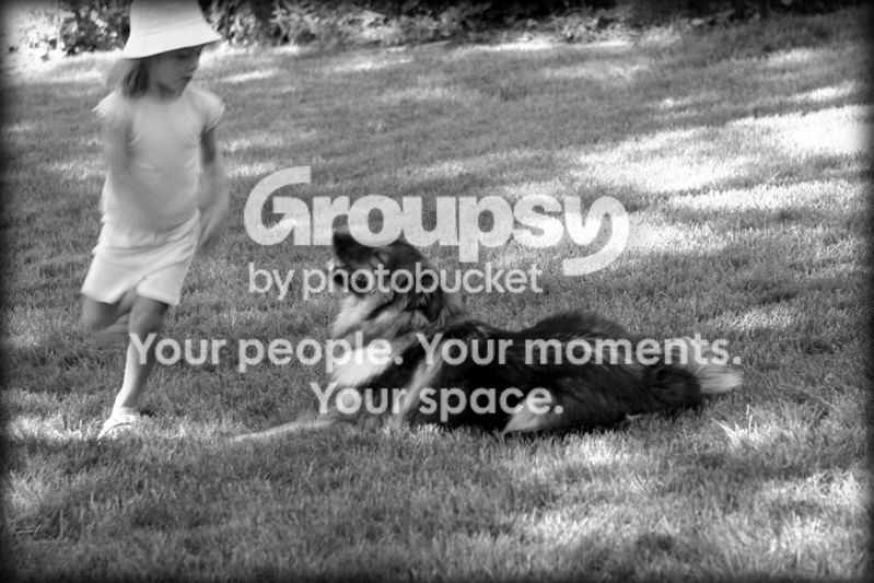 Image-225EAA99C9D911D8.jpg