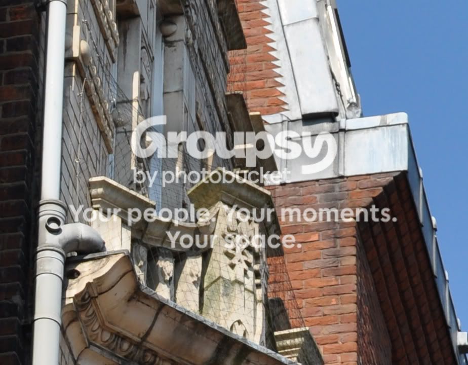 d90iso200100pc.jpg