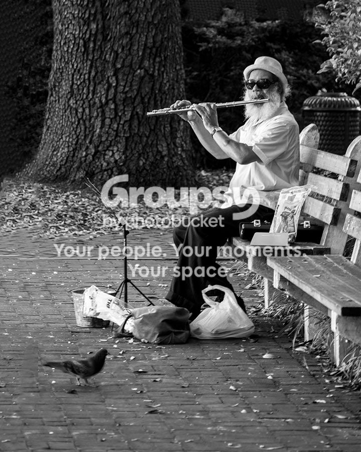 Playing-for-the-birds222.jpg~original