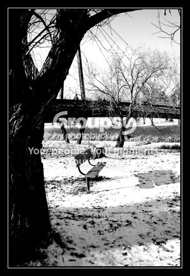 BenchUndertheBridge.jpg
