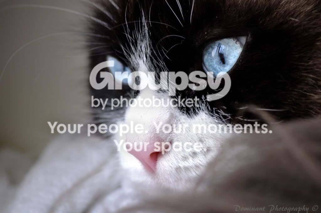 Project365Day-43.jpg