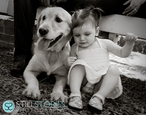 3986201486_f52e625b5f.jpg