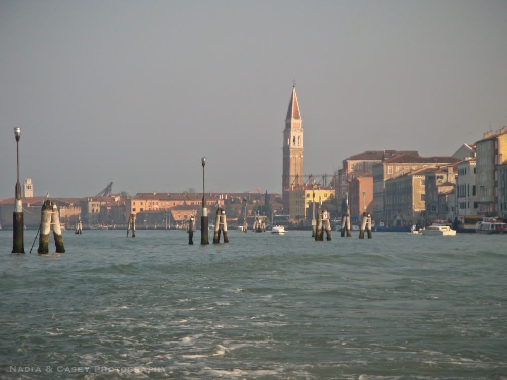 DSC01518.jpg
