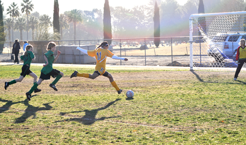 3326417333_dbb32afc09_o.jpg