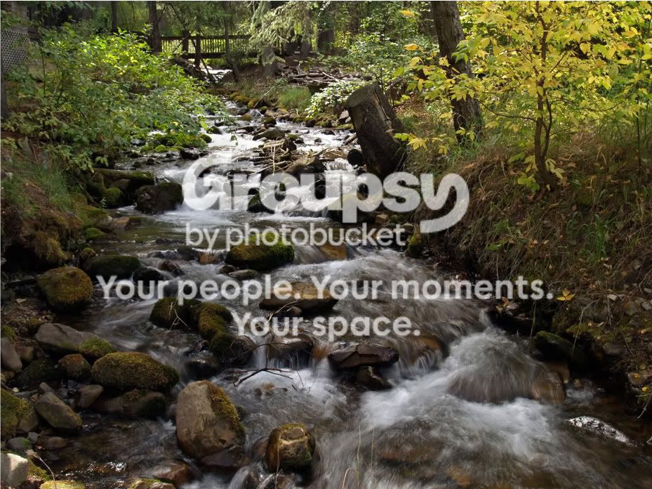 nature029copy.jpg