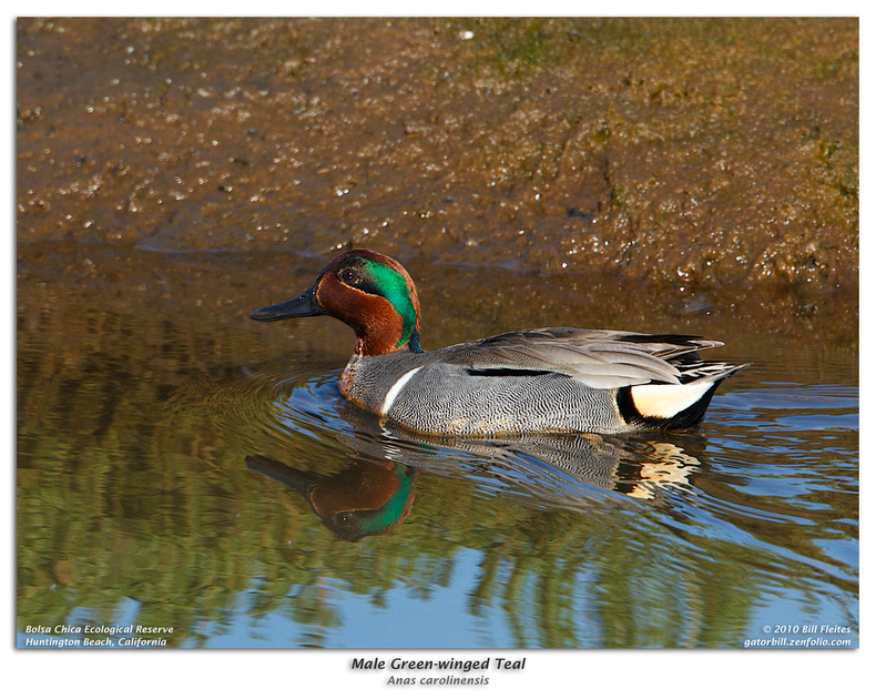 p519351586-4.jpg