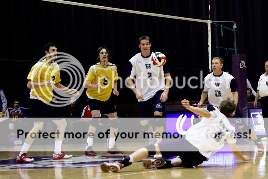 dive.jpg