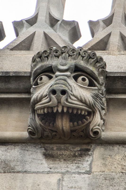 smiler-1.jpg