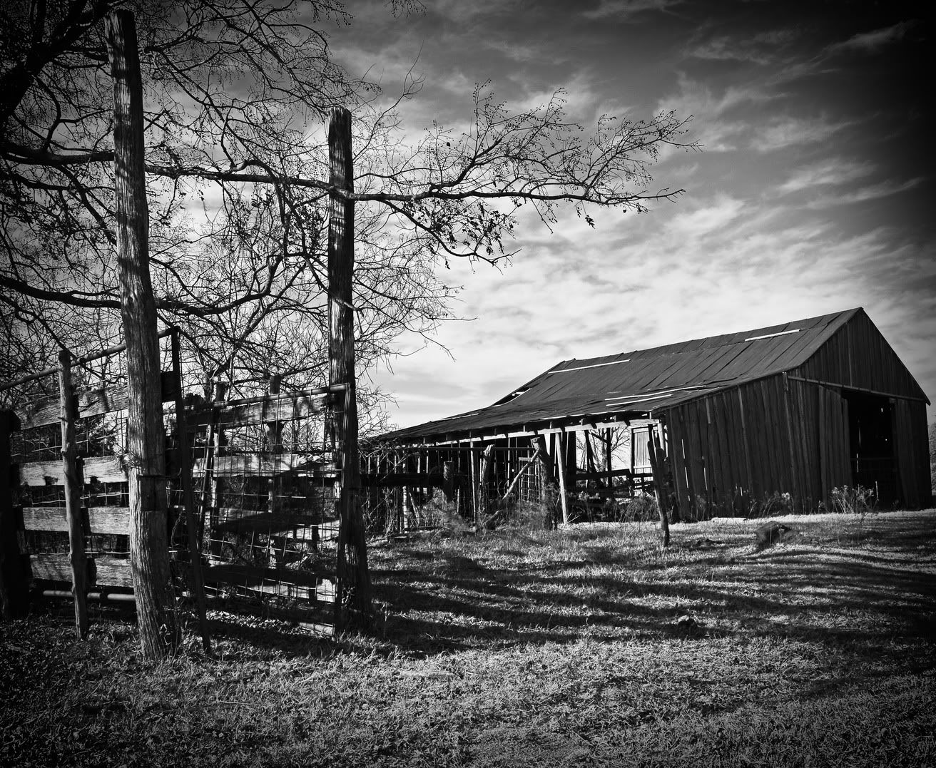 _IMG1131copy.jpg