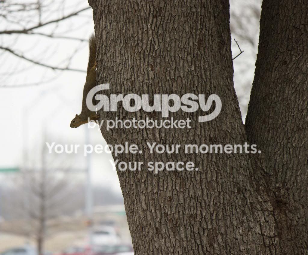 sq4a_zps9918bd07.jpg
