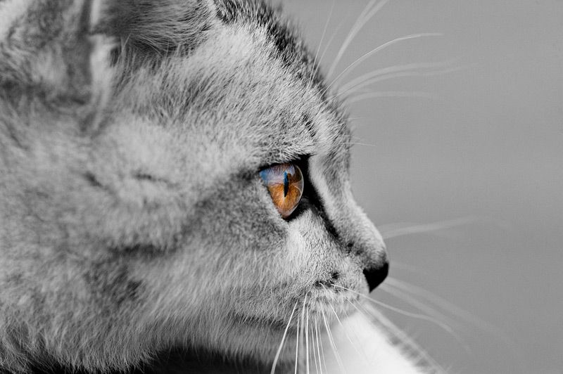 DSC_5189_2.jpg
