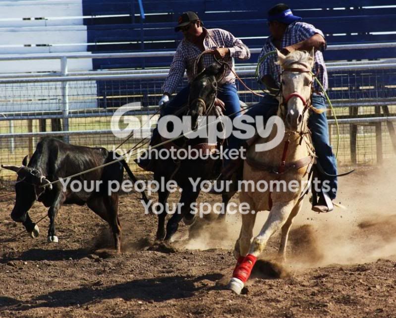 IMG_4232_840x675.jpg