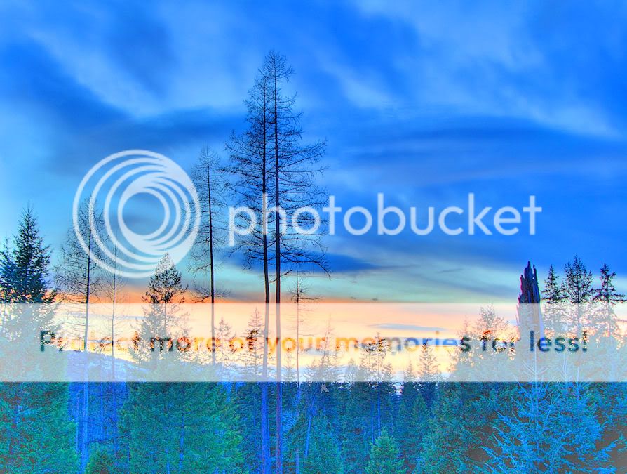 BackyardsunsetBlue.jpg