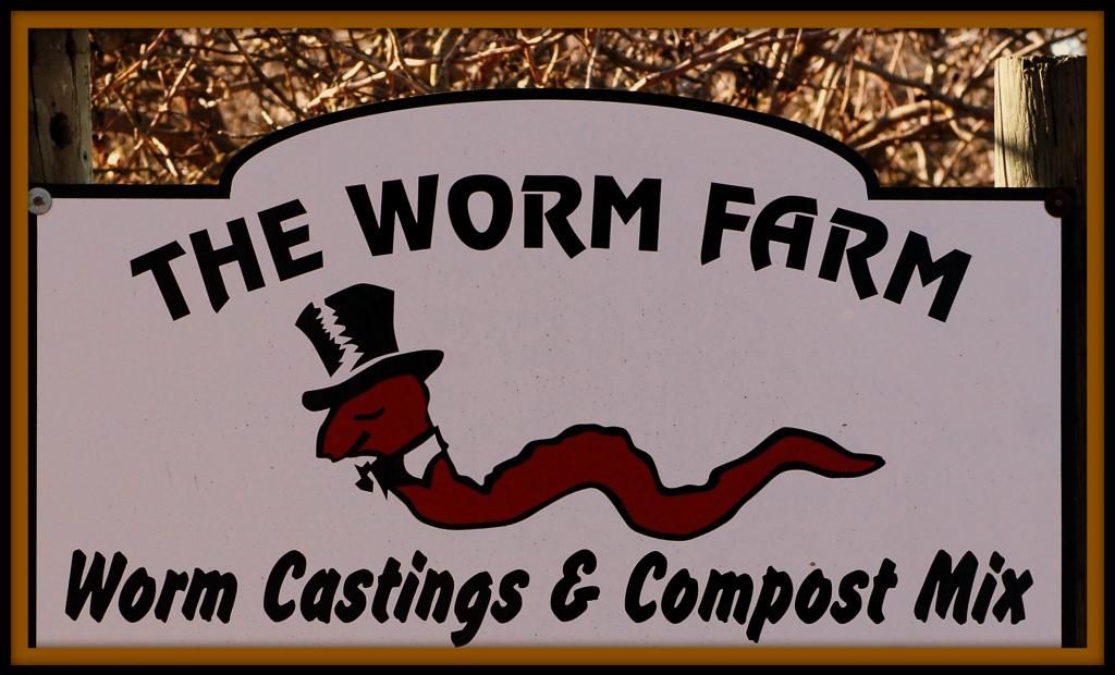THEWORMFARM_zpsd1e9f6f6.jpg