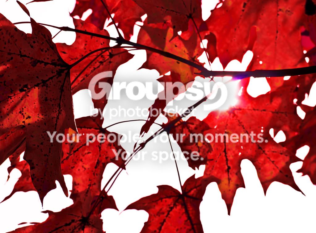 Start_of_Fall_1.jpg