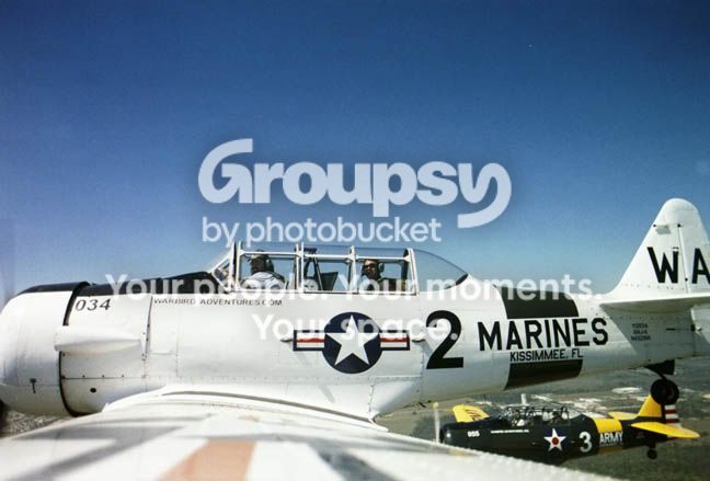 Picture_3.jpg