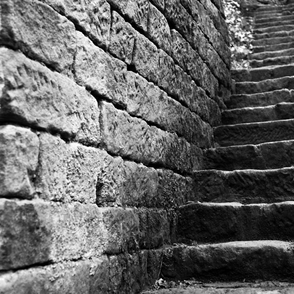 0654-L.jpg