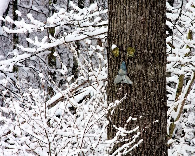 Oldmaninthewoods.jpg