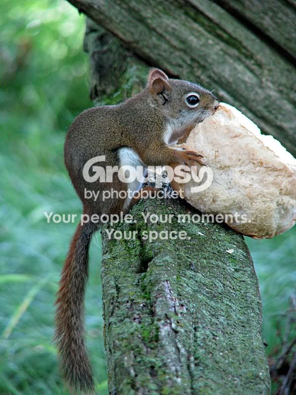 IMG_4080sm.jpg