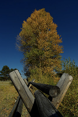 IMGP9627.JPG