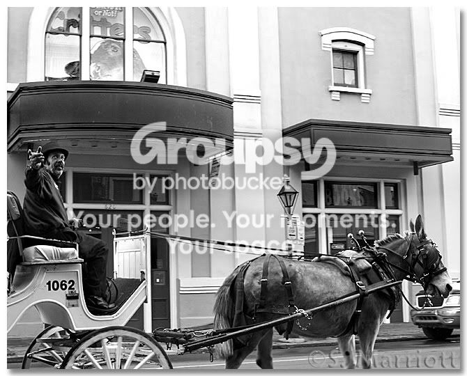 carriage.jpg