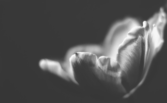 7050850415_2121b489f9_z.jpg