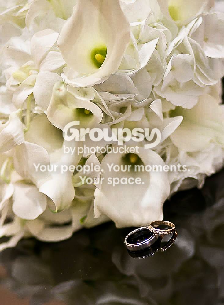 rings_zps286a57d1.jpg