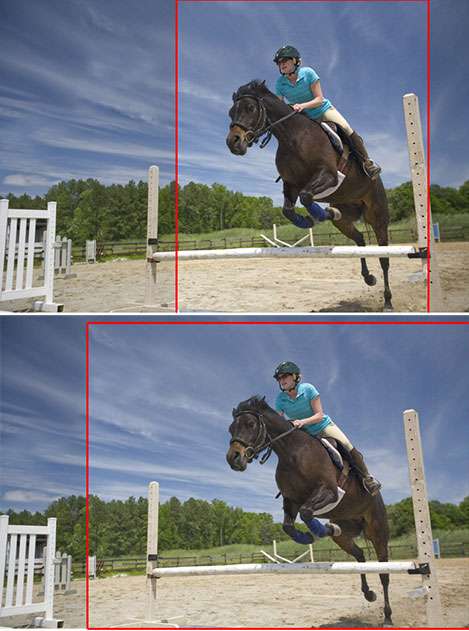 horseyb3.jpg