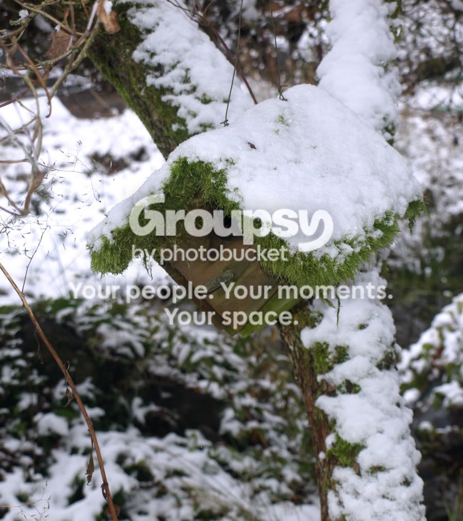 ColdOutThere-LowRes.jpg