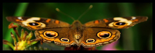 4090174709_7056d968ae.jpg