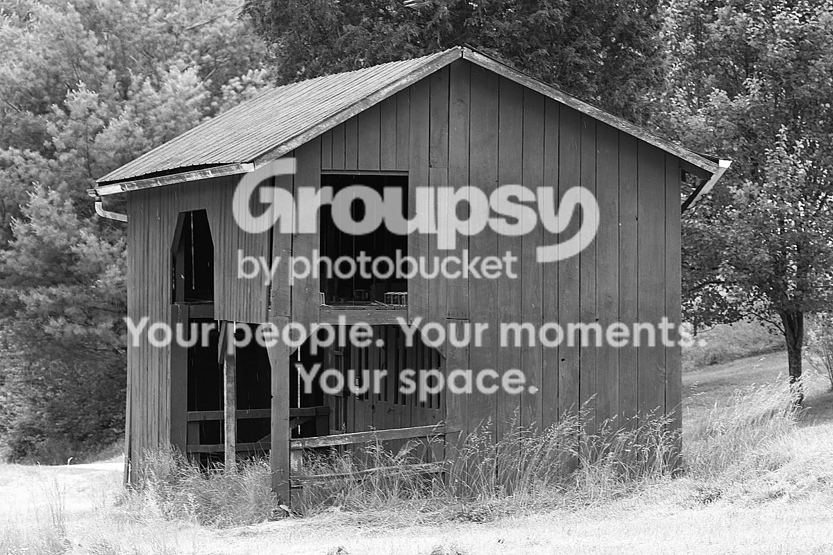 IMG_0157bw.jpg
