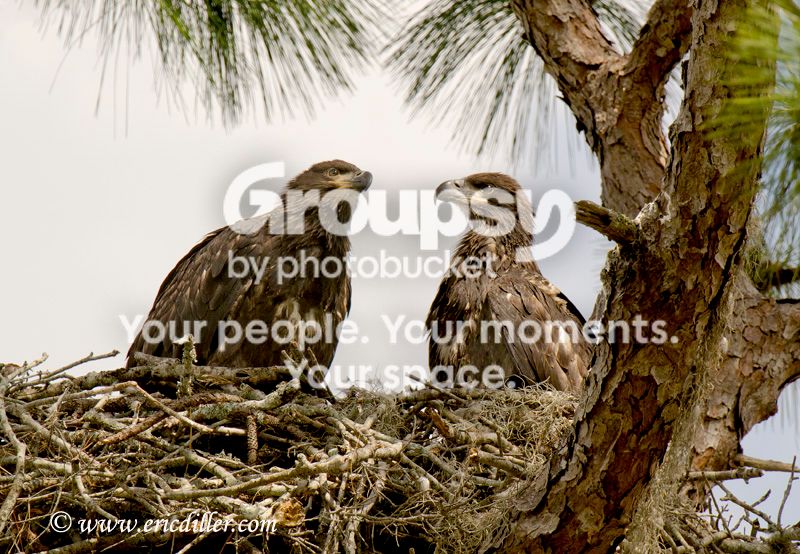 ECD_9107copy.jpg