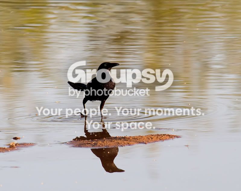 IMG_5058-Edit.jpg
