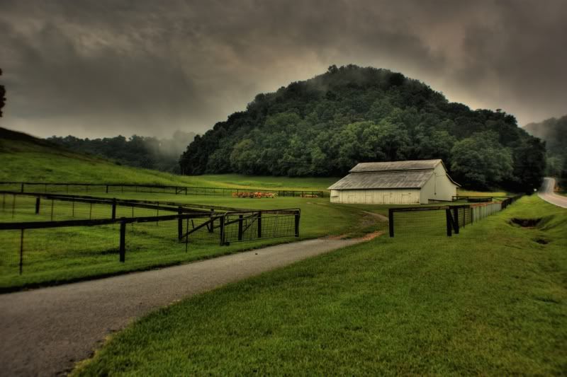IMG_1310_1_2_tonemapped.jpg