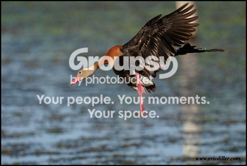 PIC_7824copy.jpg