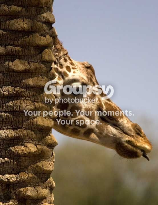Readyornot.jpg