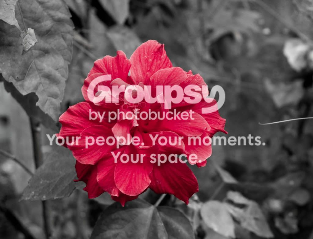 edited-1-4.jpg