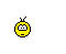 4.gif