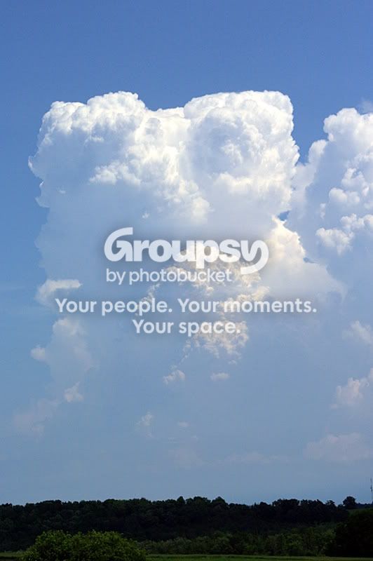 PictureorVideo159-1.jpg