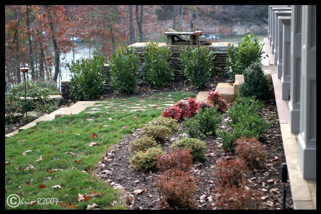 garden.jpg