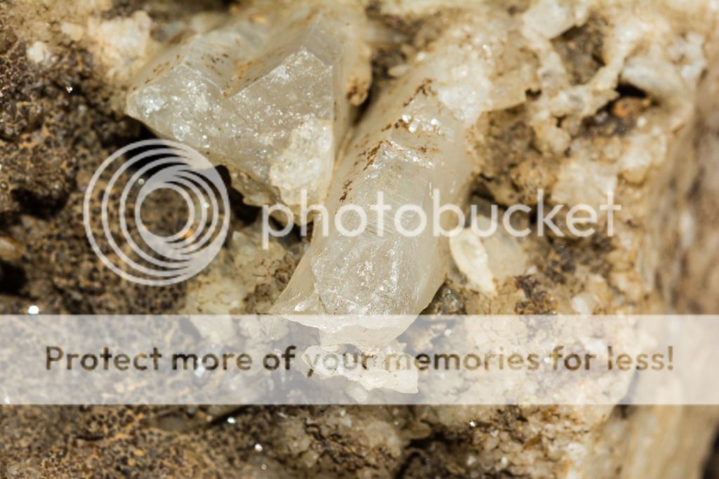 _D714772_zpsotfgl50t.jpg