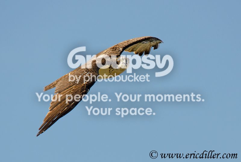 _ECD4808-copy800.jpg