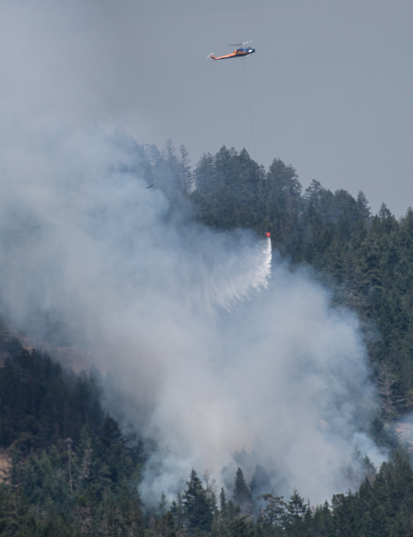 Forest_fire.jpg