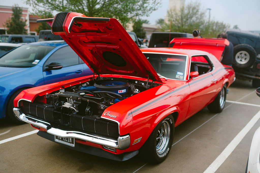 _DSC0598-XL.jpg