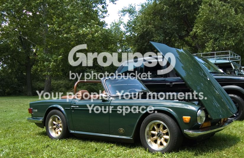 TR6081206.jpg