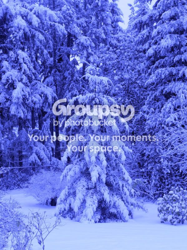Snow-LowRes-LessBlue2718.jpg