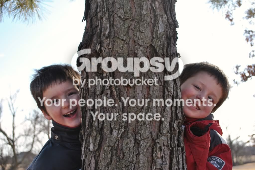 February2010015.jpg