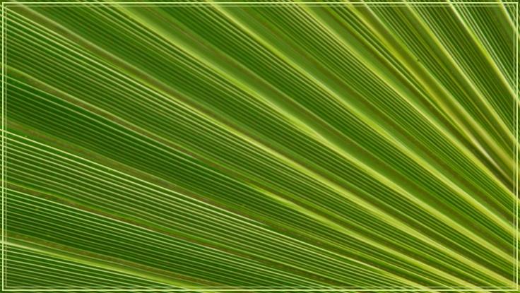 2412399070_8ef7962d46_o.jpg