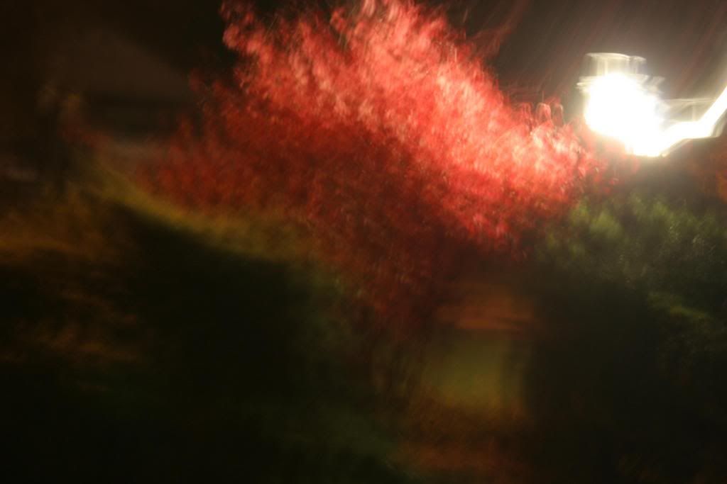 bPicture076.jpg